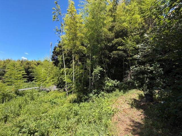 松浦市御厨町横久保免248-1 土地の周辺
