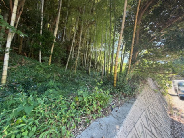 松浦市御厨町横久保免248-1 土地の周辺