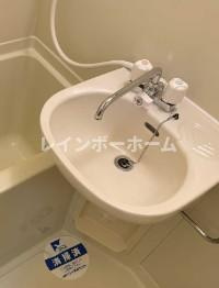スカイコート成増の洗面所