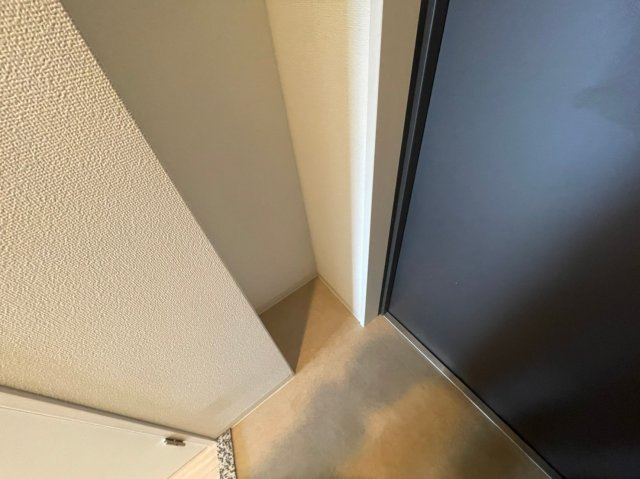 エスリード京橋グランツの玄関|(参考)同マンション同間取り他部屋の写真
