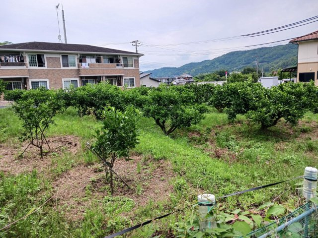 公図③から