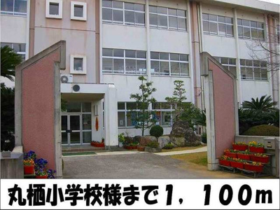 【周辺】 | ウェル・パレス　Ⅱ | 丸栖小学校　様まで1100m