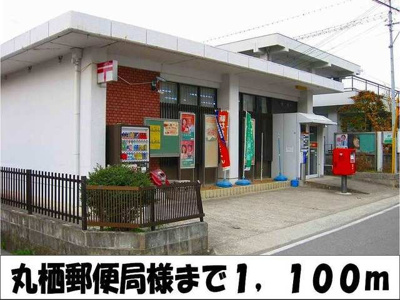 【周辺】 | ウェル・パレス　Ⅱ | 丸栖郵便局　様まで1100m