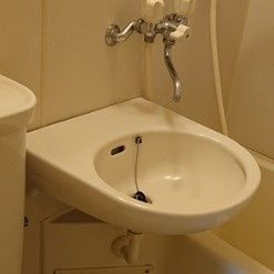クレッセントの洗面所