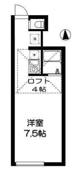 アプリコット