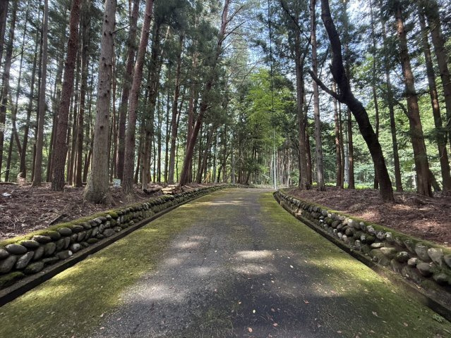 日光の観光地に佇む中古平屋物件　日光市藤原の前面道路含む現地写真|前面道路含む現地写真です