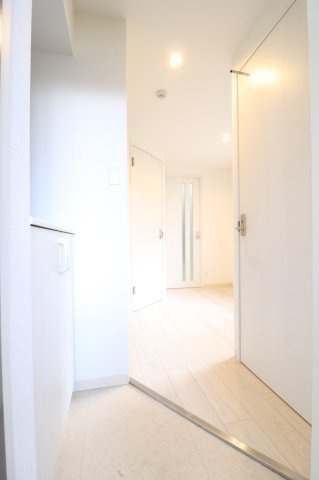A-1薩摩マンションの玄関