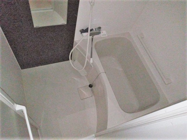 クレイノプランドールの浴室