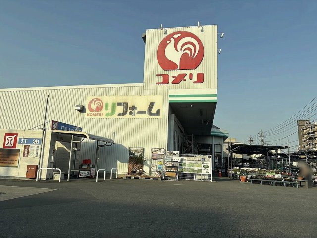 レオネクストセレーノの周辺