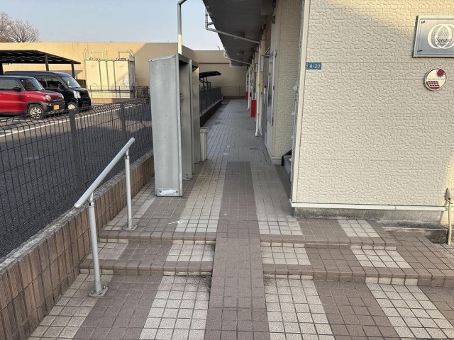 レオネクストセレーノのその他