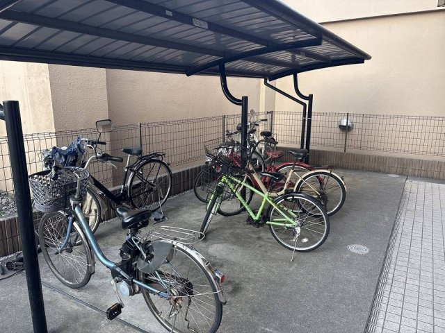レオネクストセレーノのその他