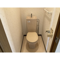 コンパクトで使いやすいトイレです