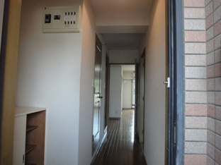 シンプルで使いやすい玄関です