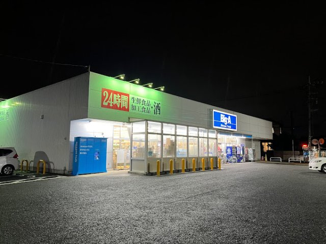 レオネクストインディゴⅡの周辺