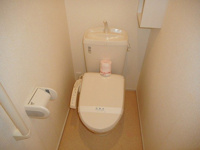 落ち着いた色調のトイレです