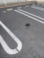 車をお持ちの方に嬉しい駐車場付きの物件です