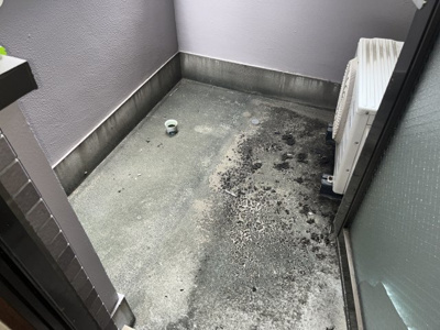 【その他】