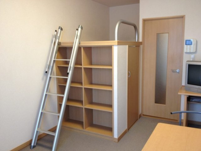 レオパレスミモザⅡのその他