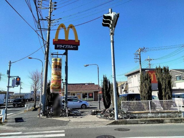 レオパレスピュアの周辺
