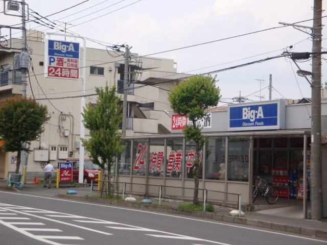カーサ・ペルラの周辺|ビッグ・エー東岩槻店まで1,072ｍ