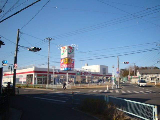 グランピュアⅡの周辺|ヨークマート東岩槻店まで1,030ｍ