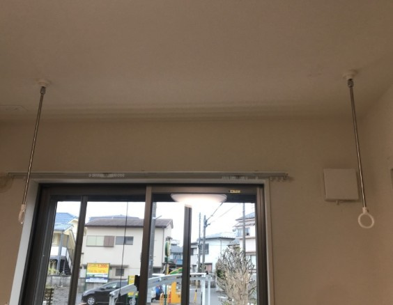 セレーノのその他