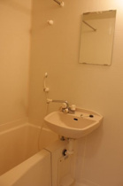 日々の疲れを癒すお風呂付です