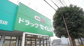 ドラッグセイムス 武州長瀬駅前まで900m