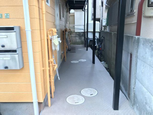 外観もきれいです