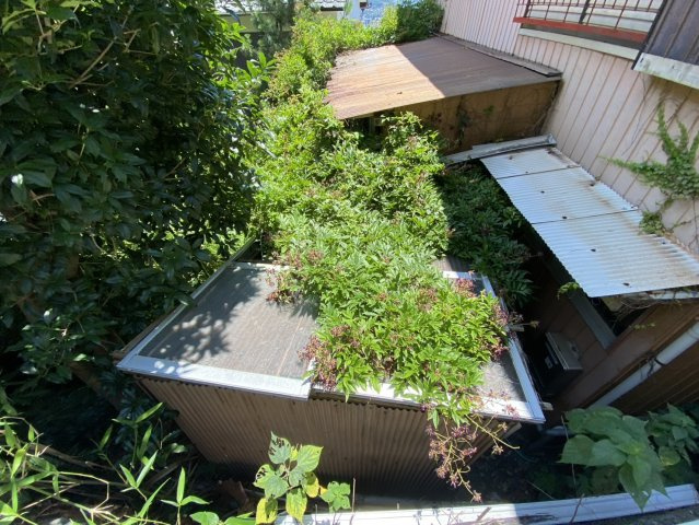 長崎市立山　一戸建ての庭