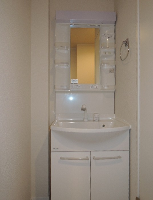 市川市新田１丁目の賃貸マンションの独立洗面台