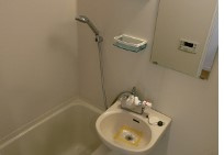 ドゥーエ浦安Ⅱ の洗面所|他部屋参考写真