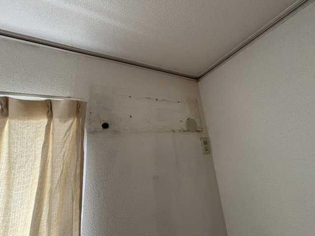 オパス原木の設備