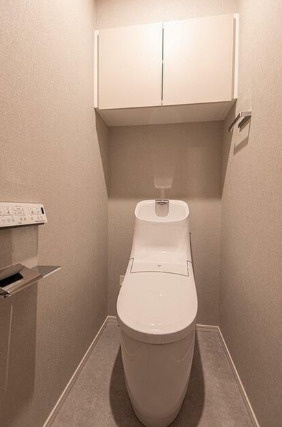 ミリアレジデンス蔵前のトイレ|落ち着いた色調のトイレです
