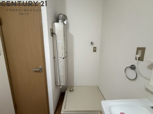 ダイアパインのその他