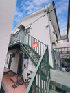 SHELL COATの画像