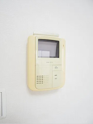 ブリエラクティのセキュリティ