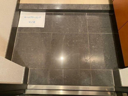 ブレシア銀座イーストの玄関|明るい玄関です