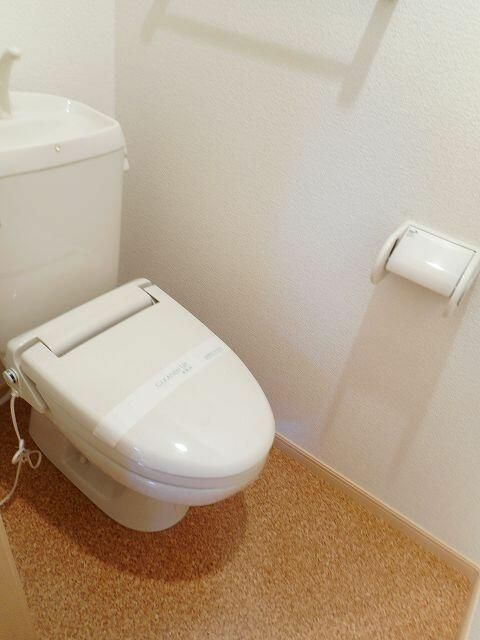 ウェールスのトイレ