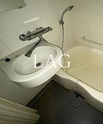 【洗面所】 | ファミール銀座イースト | 洗面台です。