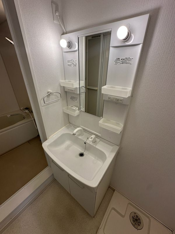 ルージェ仁川の洗面所