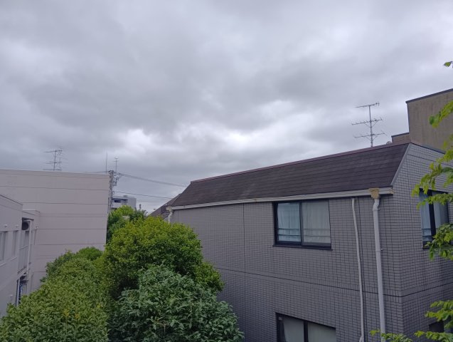 【展望】