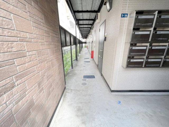 セードルのその他
