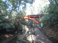 等々力渓谷まで735m