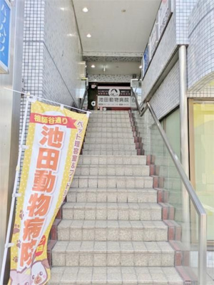 【その他】