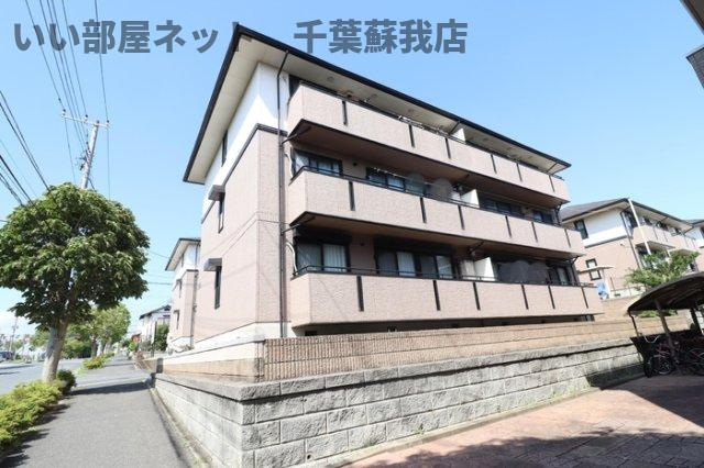 ドリームマウンテン　Ｄ