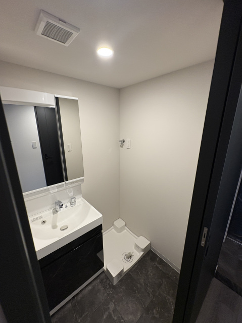 S-RESIDENCE広島駅enableの洗面所