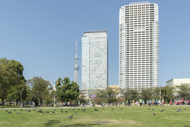 スカイレジテルのその他|休日はのんびり♪　錦糸公園