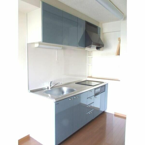 大和市大和南１丁目の賃貸マンションのキッチン