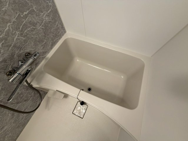 S-RESIDENCE堺筋本町Unoの浴室